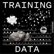 Cover art for Training Data